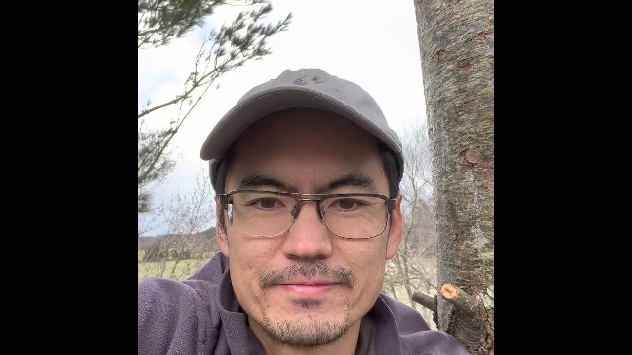 砍树计划1 Cutting Tree Project1 YouTube