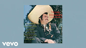 Vicente Fernández - Volver, Volver (Letra / Lyrics)