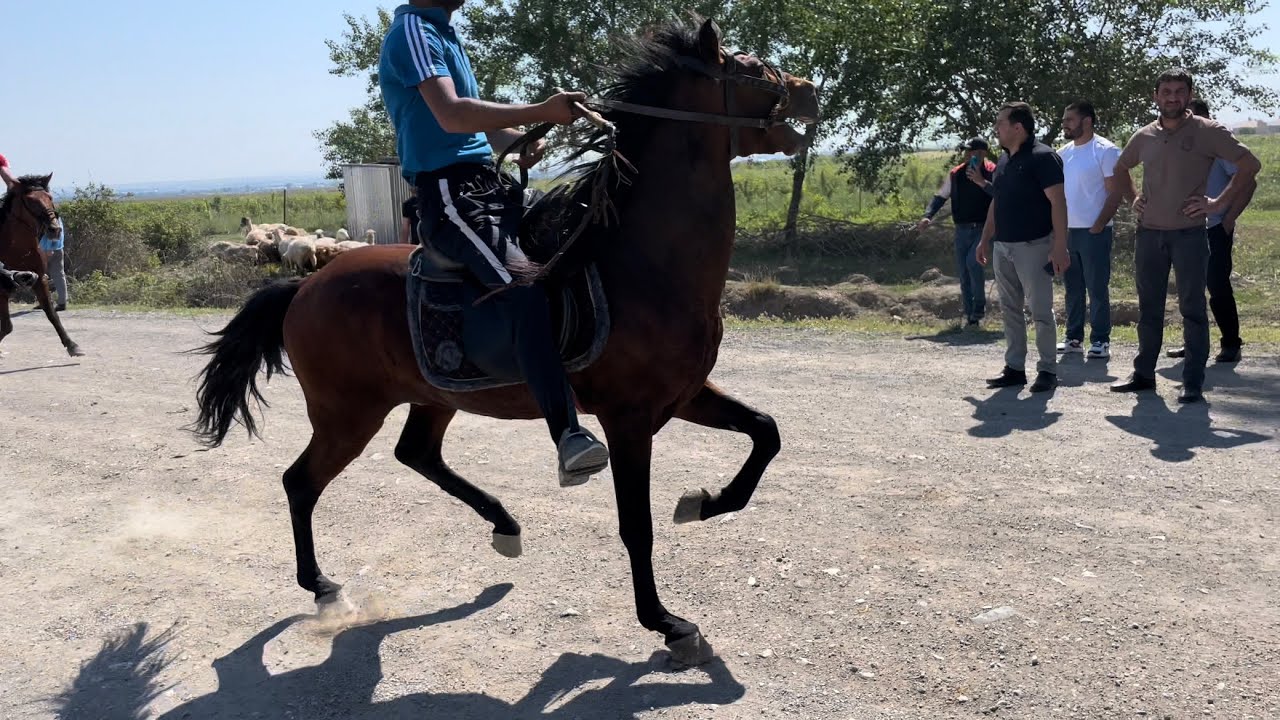 Aç ýaşaýjylar Nyýazowyň dolandyryşyny ‘küýseýär’