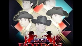 Video thumbnail of "Vas a llorar por mi - Los Potros Del Sur"