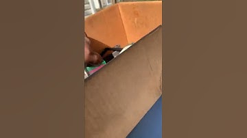 80-84 Mazda rx7  no rpm  and Rough running problem