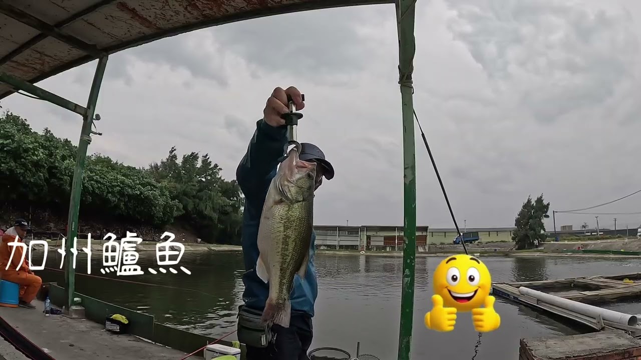 2026 1 8 快樂釣魚🎣趣 拉爽爽的一天（晶讚海釣場）