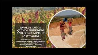 Evolution of Quinoa Breeding and Consumption in Rwanda