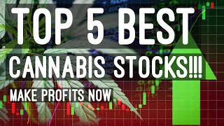 The Top 5 Best Cannabis Stocks To Invest In RIGHT NOW For Growth And Profit In 2021 Net Worth