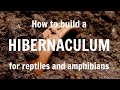 How to build a hibernaculum for reptiles and amphibians