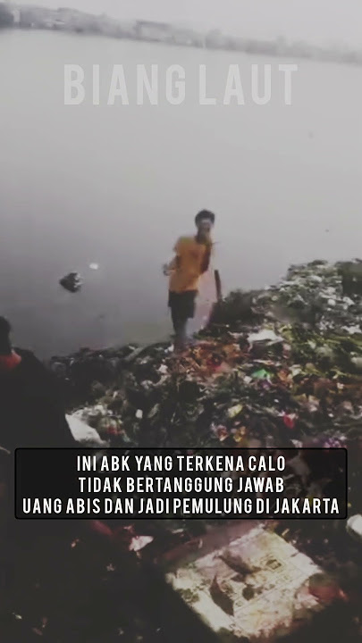 Ada Yang Punya Pengalaman Seperti Ini? #abk #kapalikan #nelayan #pelaut #kapalcumi #fyp #infoabk