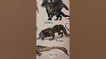 TYPES OF DRAGONS|PART 7|DRAKE|#creature #dragon @LIKEMYTH@tseries@MrBeast