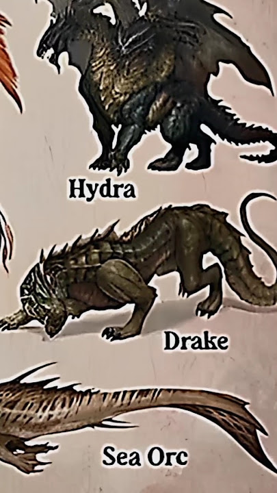 TYPES OF DRAGONS|PART 7|DRAKE|#creature #dragon @LIKEMYTH@tseries@MrBeast