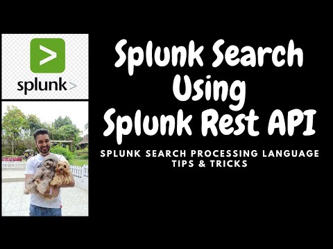 Splunk Search Using