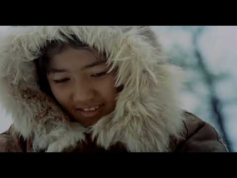 თეთრი ეშვი