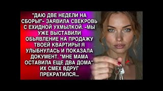 видео: МЫ УЖЕ ВЫСТАВИЛИ ТВОЮ КВАРТИРУ НА ПРОДАЖУ! Я И ПОКАЗАЛА ДОКУМЕНТ    ИХ СМЕХ ВДРУГ ПРЕКРАТИЛСЯ картинка: МЫ УЖЕ ВЫСТАВИЛИ ТВОЮ КВАРТИРУ НА ПРОДАЖУ! Я И ПОКАЗАЛА ДОКУМЕНТ    ИХ СМЕХ ВДРУГ ПРЕКРАТИЛСЯ