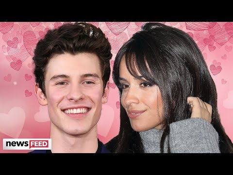 Shawn Mendes & Camila Cabello Are 'Falling For Each Other'