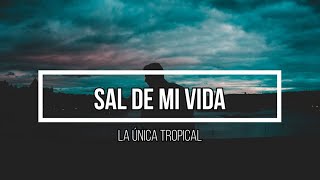 🥹 Sal de mi vida 🥹 // Letra // La Única Tropical