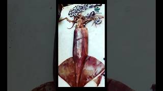 Astounding!! Squid Cleaning Masterclass 🦑 #squid #cleaning #shorts