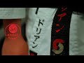 Shotokan karate cinematic
