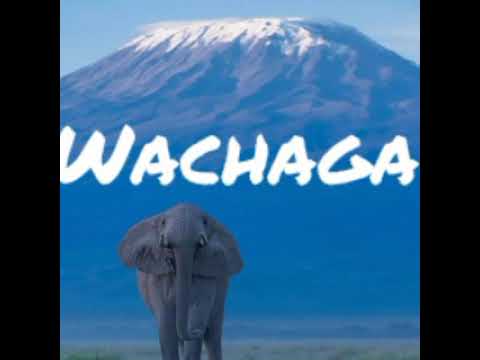 Video: Ukweli 8 wa kupendeza kuhusu Kilimanjaro