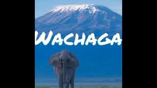 Wachaga| Ukweli kuhusu tabia zao| kabila kubwa| wasomi| chini ya mlima Kilimanjaro