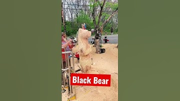 Stihl chainsaw carving  5 foot Big Black Bear oak wood tree 55 minutes #chainsaw #chainsawcarving