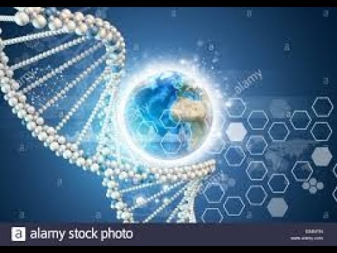 Spectrum lights of DNA is knowing how to travel to higher percentages of 101 = 1% of capacity