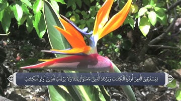 074 - سوره مدثر
