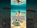 【本当は空を飛びたいかも】ペンギンが飛べない理由