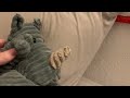 The Adventures of Everloom the poler bear EP8 S01