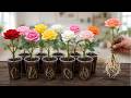 Just One Teaspoon Roses Will Instantly Take Root And Sprout Overnight 