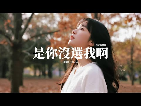 呂口口 - 是你沒選我啊 (撕心裂肺版)『是我沒等你嗎，是你沒選我啊，連靠近都怕打擾你的傻瓜，都變成了笑話。』【動態歌詞MV】