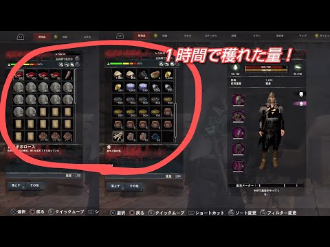 コナンアウトキャスト お遊び風景！ 2023.08.31（公式PVE#追放の地）【ConanExiles】