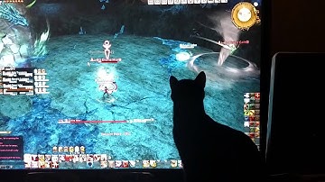 [FFXIV] Why I fail at Waukkeon