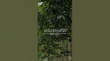 (إن الله وملائكته يصلون على النبي) - مقتطفات من سورة الأحزاب بصوت القارئ مشاري العفاسي