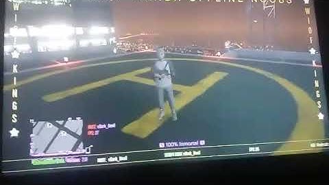 Paradise Private Mod Loader