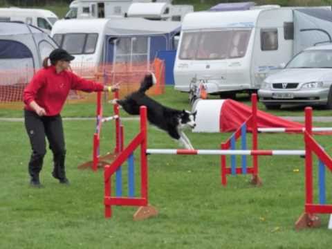 Agility Wallingford KC April 2011