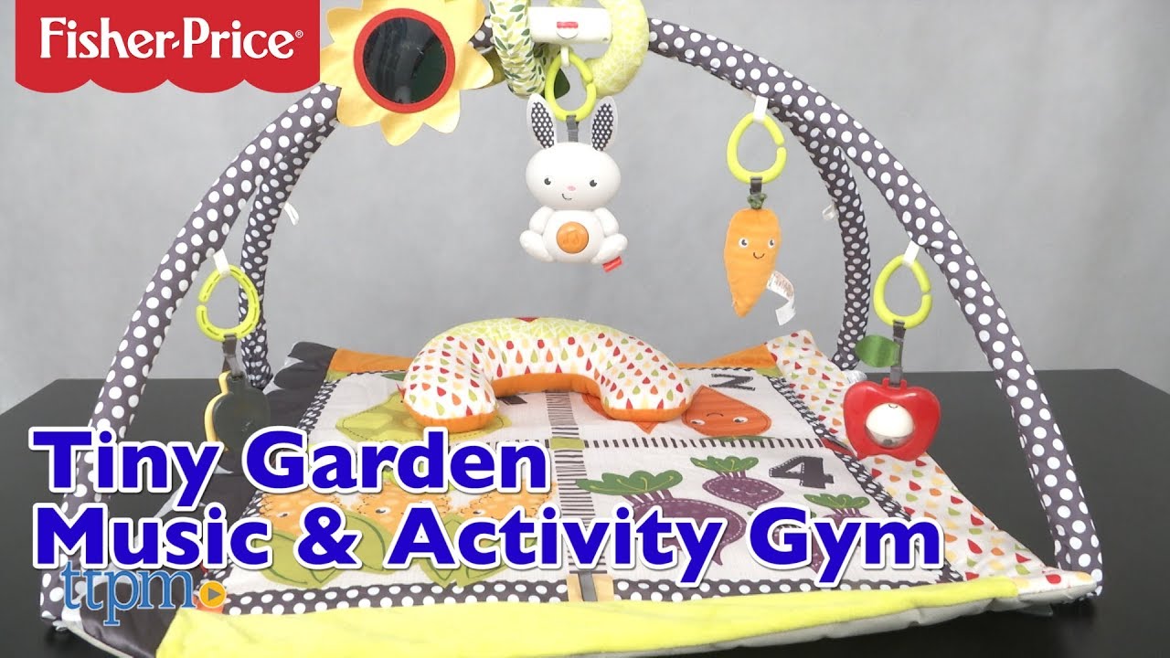 fisher price garden activity center