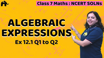 Algebraic Expressions Class 7 Maths | Chapter 12 Ncert Solutions Exercise 12.1 Questions 1-2