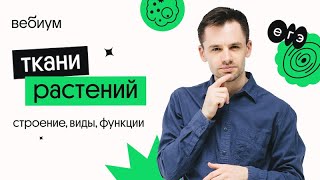 ТКАНИ РАСТЕНИЙ | Биология ЕГЭ | Вебиум