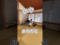 妻に突然「食べていい？」と聞いてみた
