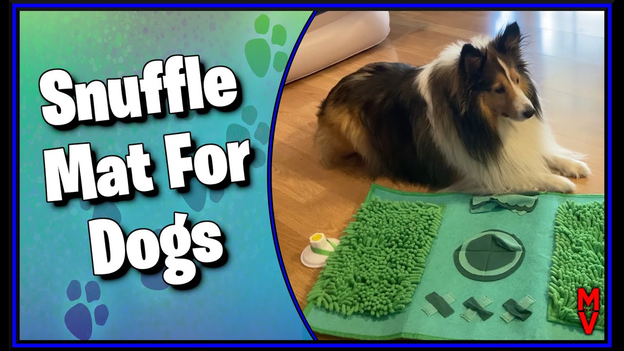 Must Have For Dogs? Snuffle Mat For Dogs MumblesVideos Product
