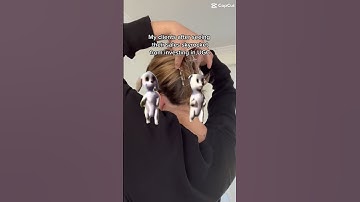 Join the creative movement: ugc community hub