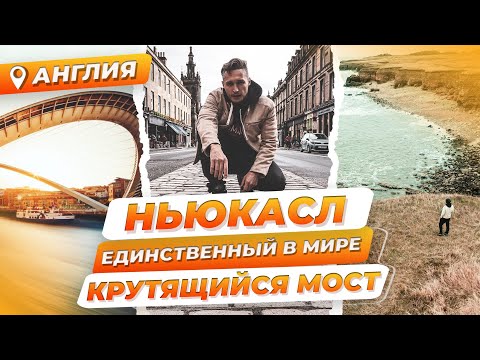 Видео: Өөр хотод насанд хүрэгчдийн төрсний гэрчилгээг хэрхэн яаж сэргээх вэ