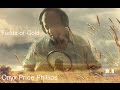 Fields of gold  sting over onyx price phillips  mr productions fusion