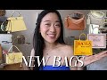 NEW BAGS Ft Loewe Mini Featherlight Puzzle Fendi S Spy Bag Dior Summer 2026 Ep 25 5 NEW BAGS Ft Loewe Mini Featherlight Puzzle Fendi S Spy Bag Dior Summer 2026 Ep 25 5