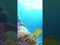 珊瑚が息づく海に静かに時が巡るチルBGM（フルver.は▶️をクリック） #shorts #BGM #chill #animation #anime