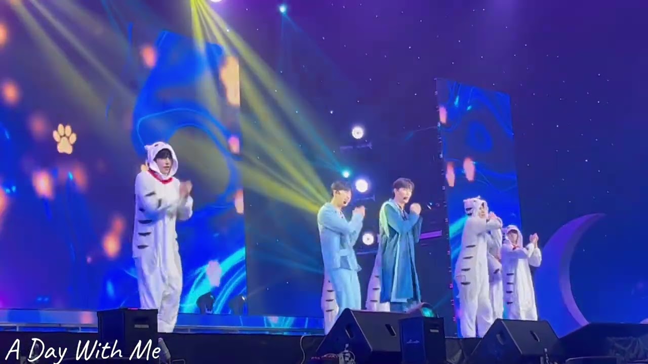 ZeeNuNew Stuck with U DMDCONCERT