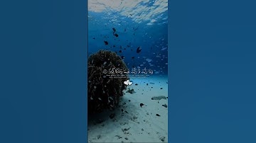 سورة الإنسان  |   الشيخ محمد اللحيدان
