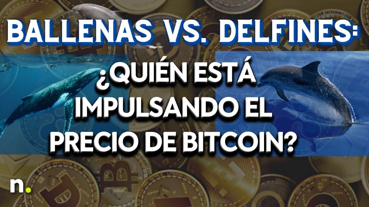 Ballenas vs. Delfines: ¿Quién está impulsando el precio de Bitcoin?