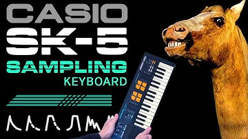 Casio Sk-5 Mini Sampling Keyboard (1985) - The Art of Making Noise