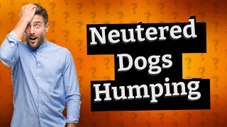 Can dogs with no balls hump?