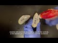 LM Removing Mussel Shell Labels 2026