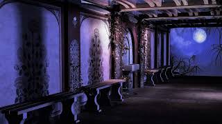 Beethovens Moonlight Sonata original For Beethovens Lovers U0026 Fans 20minute Version  Hd U0026 Hq